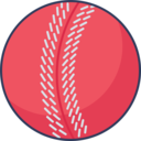 sports and competition,sport,ball,cricket,cricket ball
